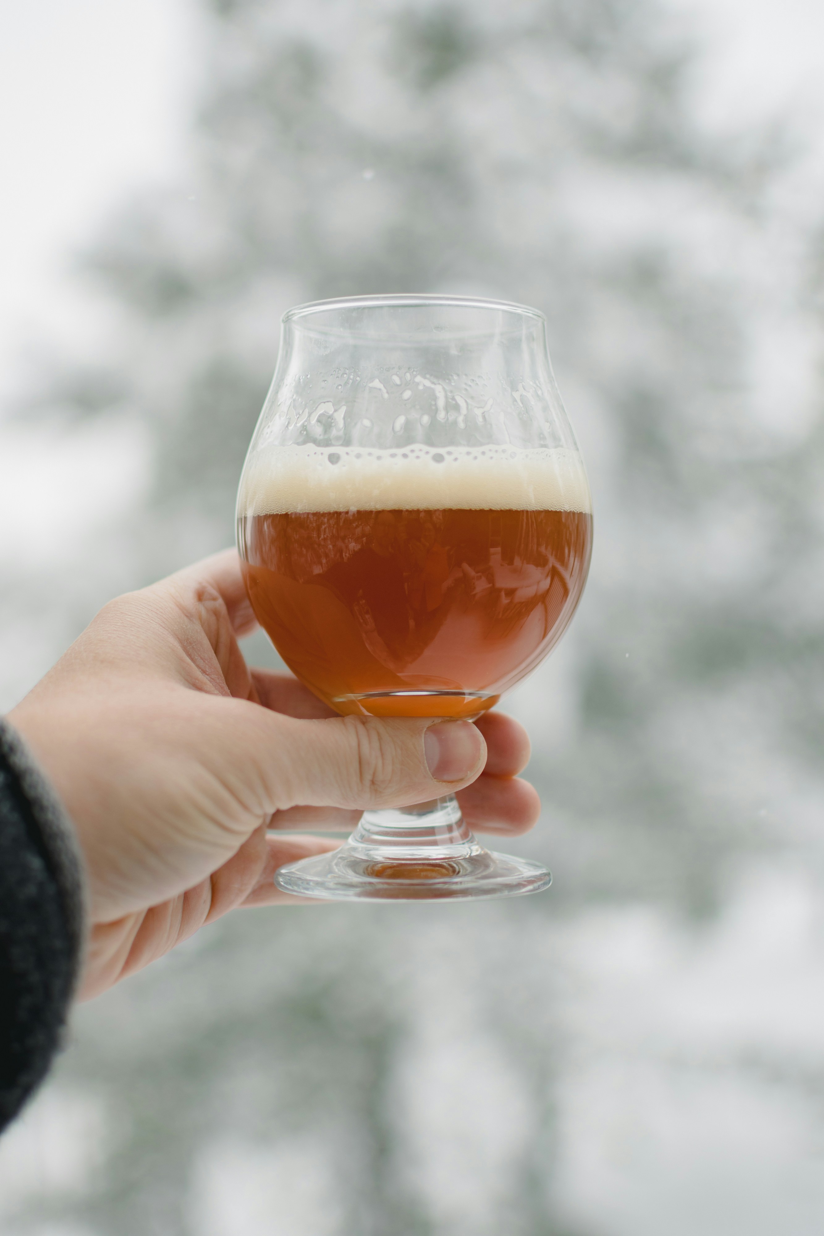 Forest Stout