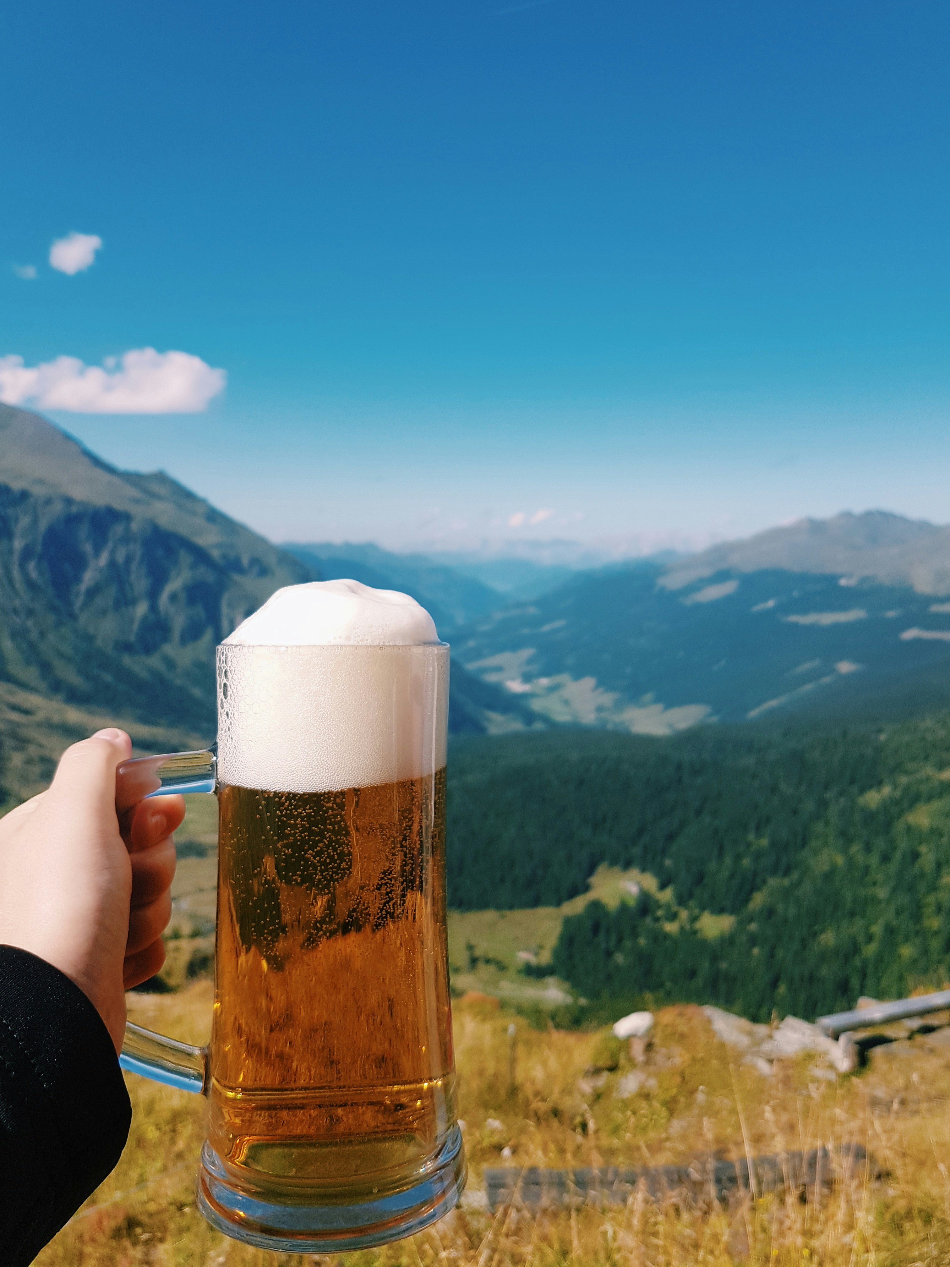 Mountain Lager